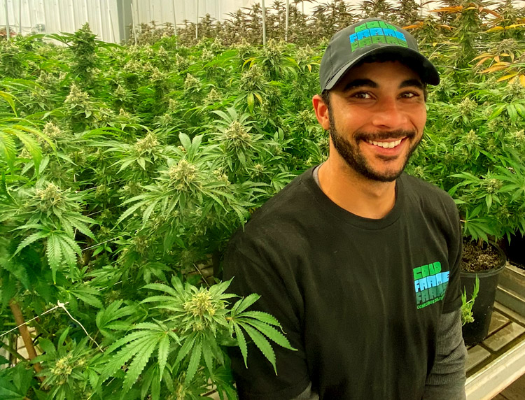 stevie ward-mazon - gardener